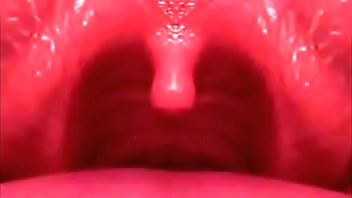 Dragon Girl POV Vore