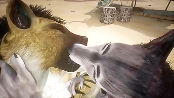 Hyena and Wolf make each other squirt - Wildlife