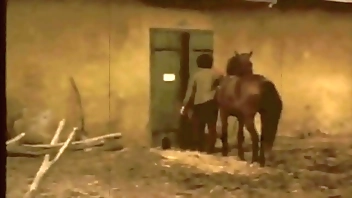 Dark Lantern Entertainment presents 'Beauty And The Beast'