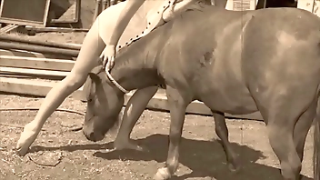 Dark Lantern Entertainment presents Wild Women