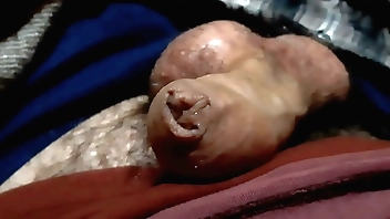 Levantando el pene con un buen prepucio