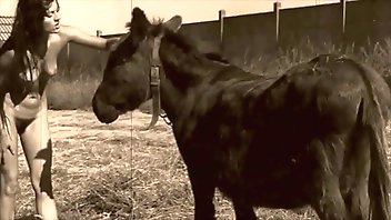 Dark Lantern Entertainment presents