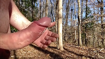 Sunny winter day with a hair cut