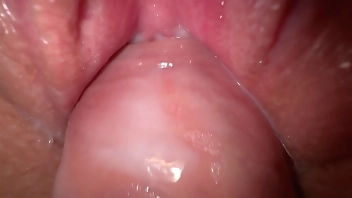 Blowjob and extremely close up fuck